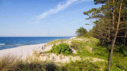 Zielone przestrzenie, szerokie i piaszczyste plaże.